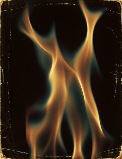 IMG 7505.jpg