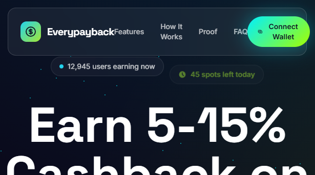 Screenshot of everypayback.com