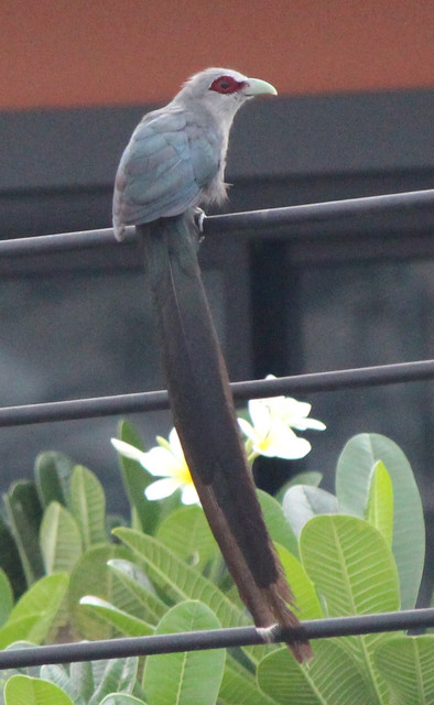 IMG 2564.jpg