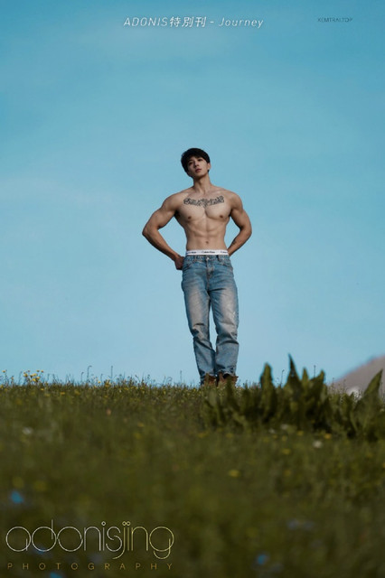 Adonis 01 75