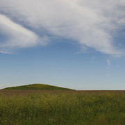 1c00298m