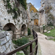 IMG-2037