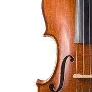 51