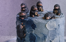 https://i.ibb.co/YBvwVDPx/robjay4.png