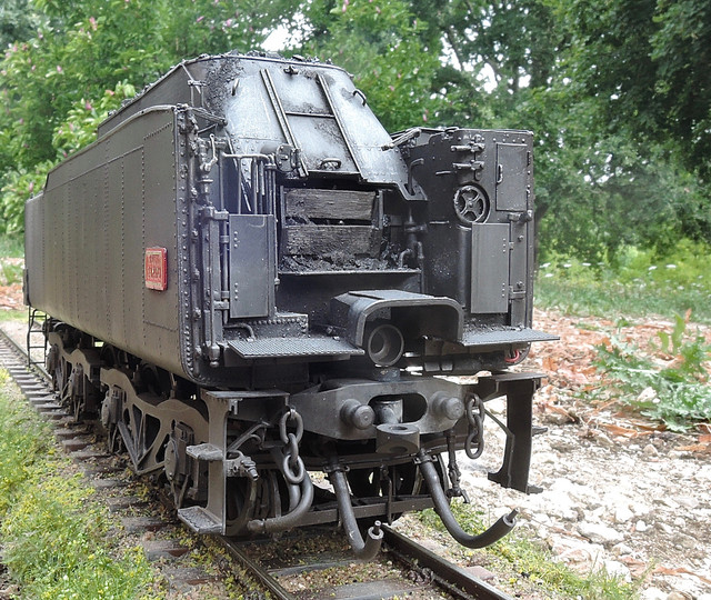 DSCN6582.jpg