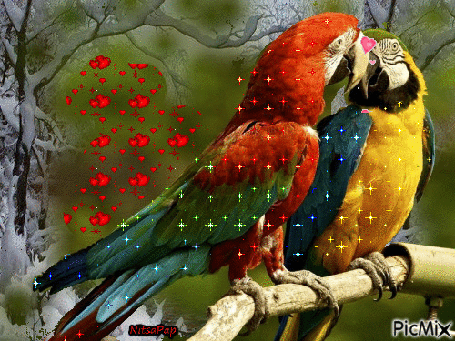 love.gif