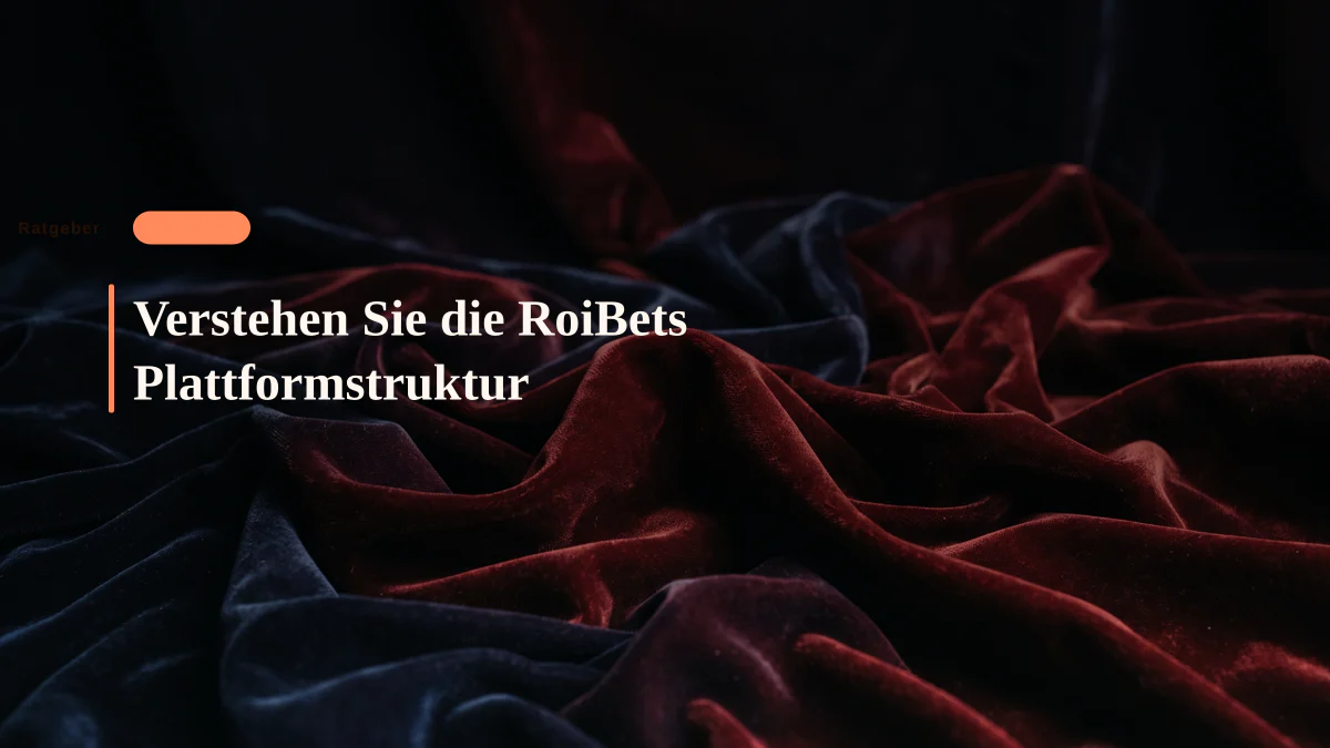 Verstehen Sie die RoiBets Plattformstruktur
