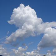 DSC00524