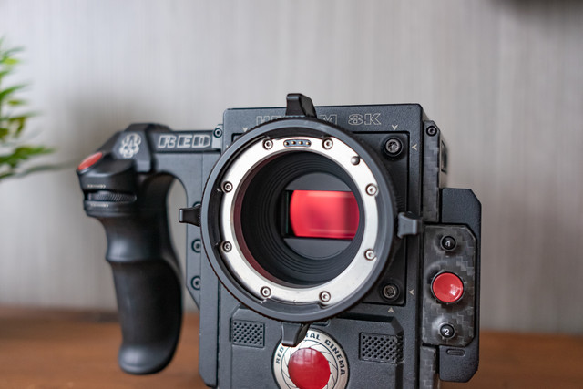 CJF6585