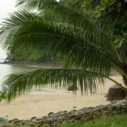 Cocos-Island