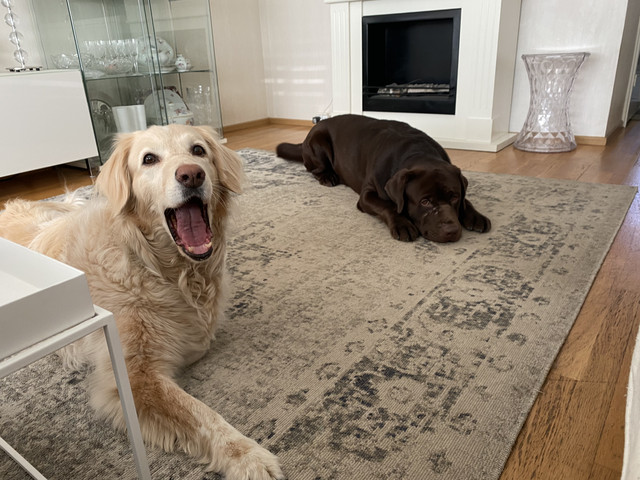 870-C5-A16-6-AB9-49-D8-88-F0-A09-DA7-E33