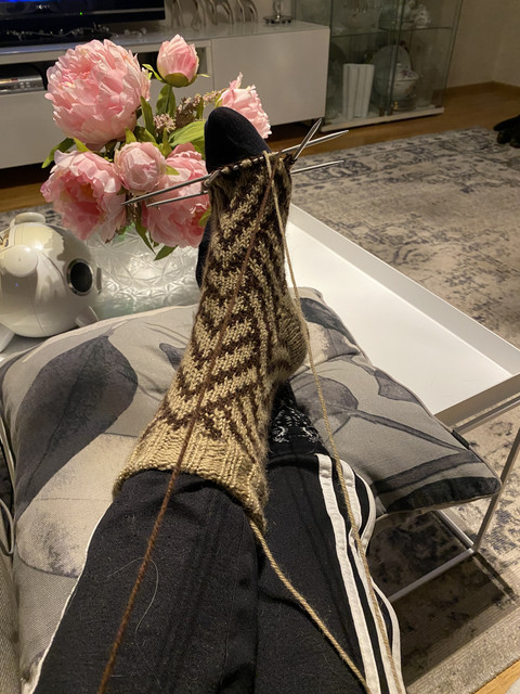 95-CAFD51-9-D23-4-A4-A-A592-8396771-FEF4