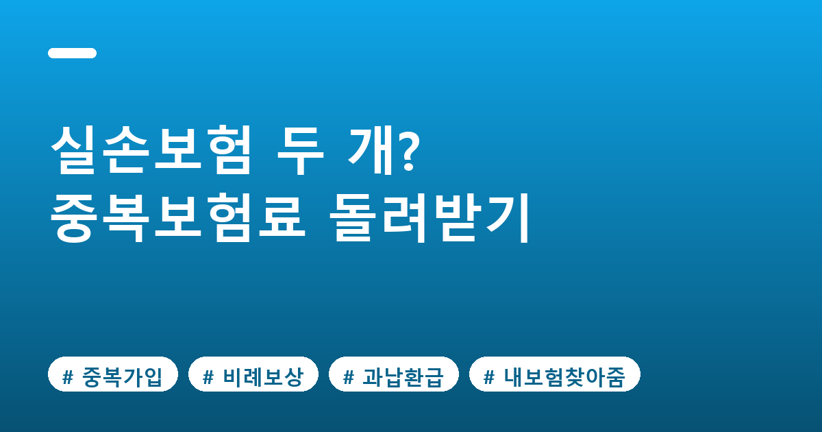 실손보험 중복가입 확인 방법과 과납보험료 환급 절차 정리