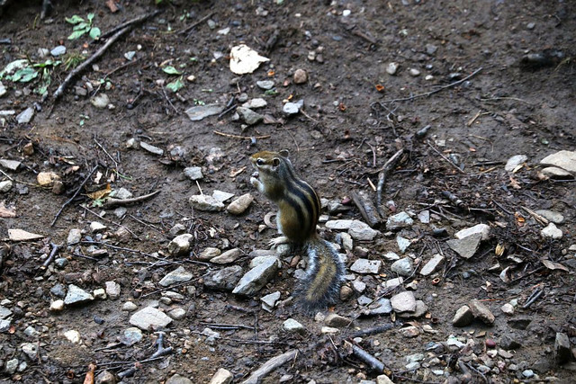 IMG 0291.jpg