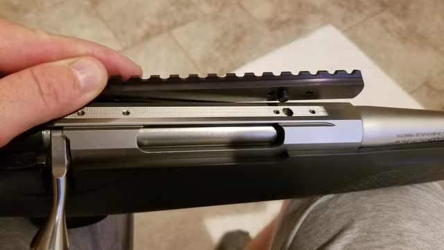 tikka-Rail-3