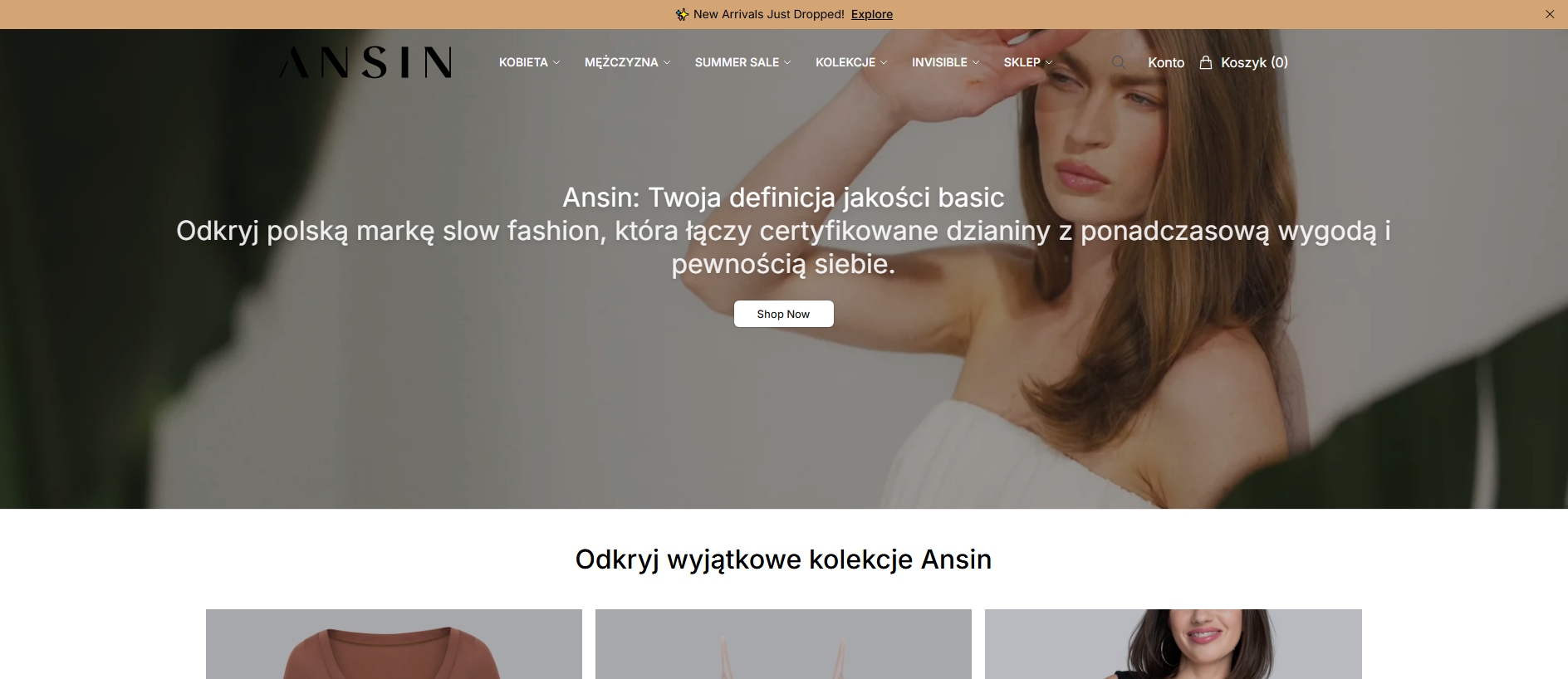 Stored capture of answay.shop