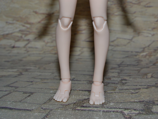 DSC-0104