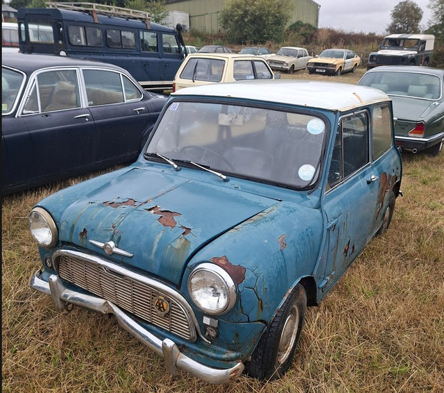 SA-Mini-1.jpg