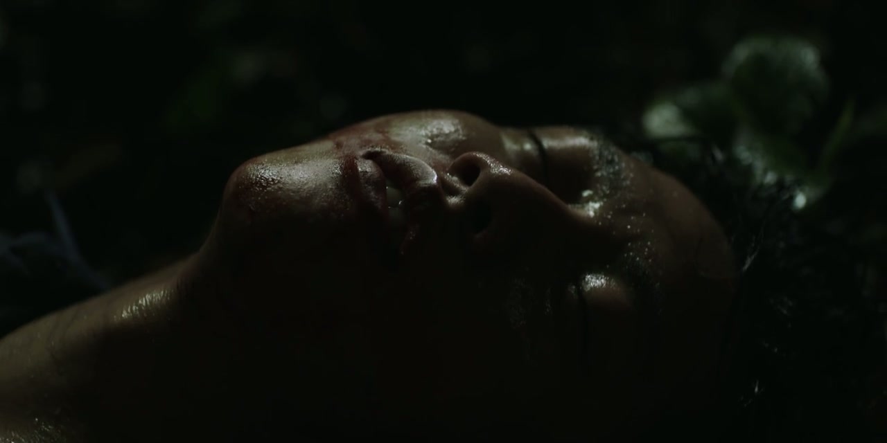 Canopy Screenshot
