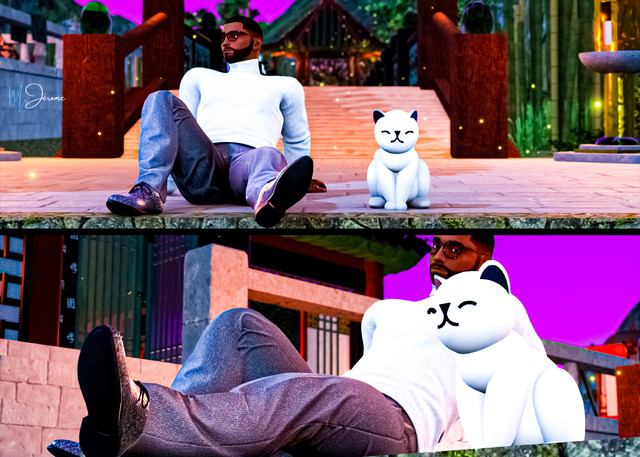 Kitty 3.jpg