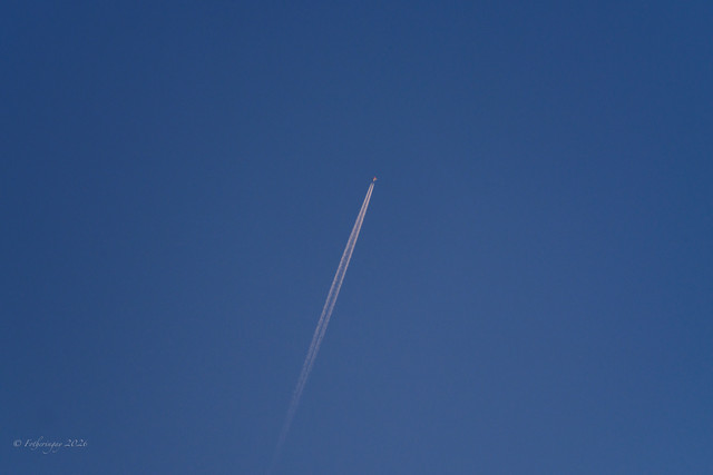 DSF6199.jpg