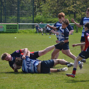 DSC 0420