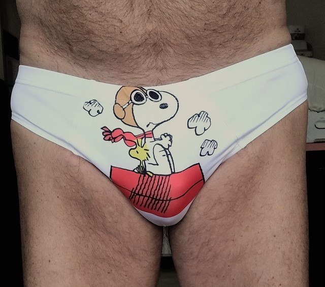 Snoopy 'Red Baron' - front view