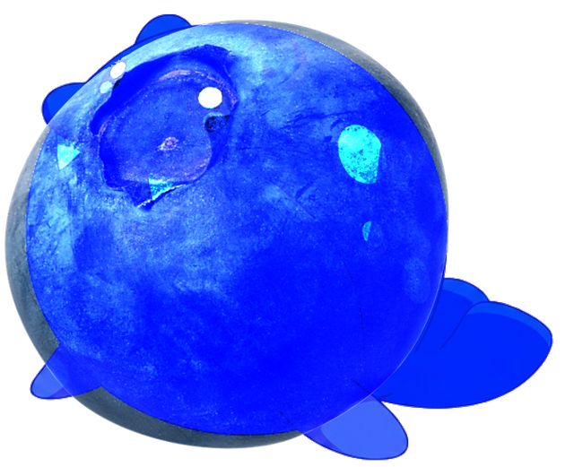 bluecoro4.png