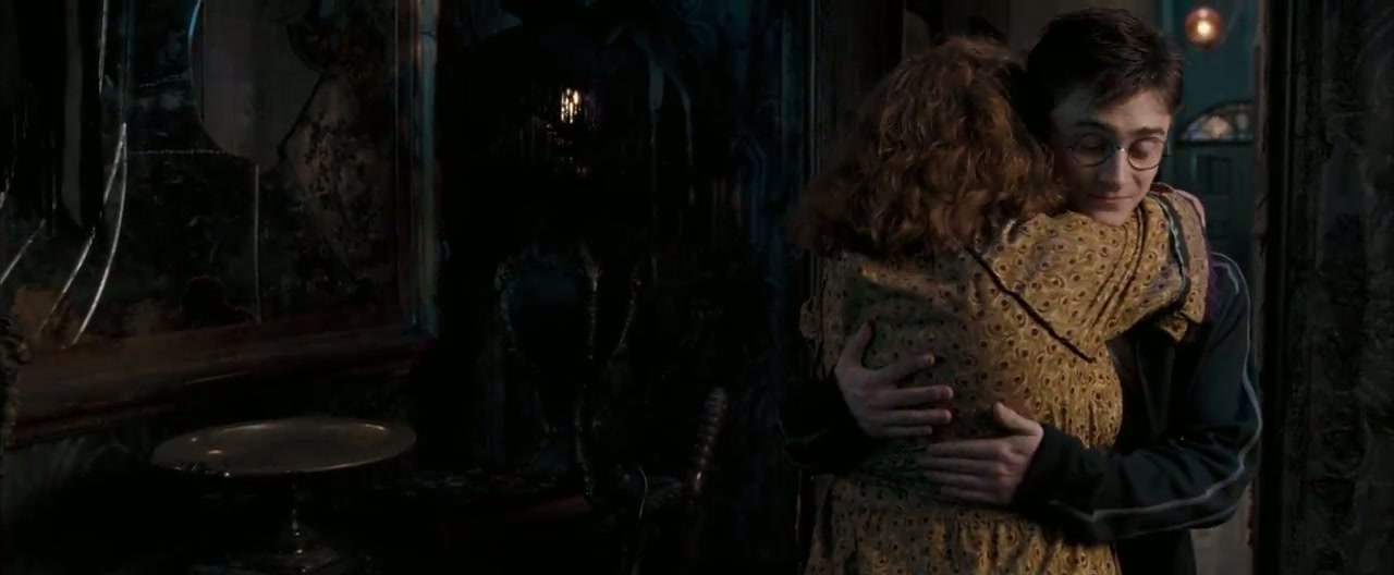 Harry Potter and the Order of the Phoenix Screenshot
