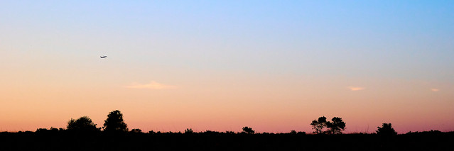 DSCF2075