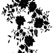 44436e9d62b2fa8b67aff00d41c32a49