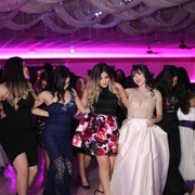IMG-4135