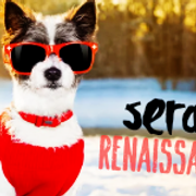 winter dog 2