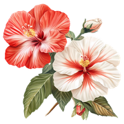1818c7b2c8fb4800ea38e2cea1747409.png
