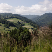 IMG-0148