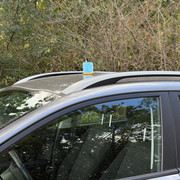 IMG 4661