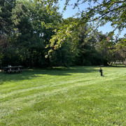 IMG-0018