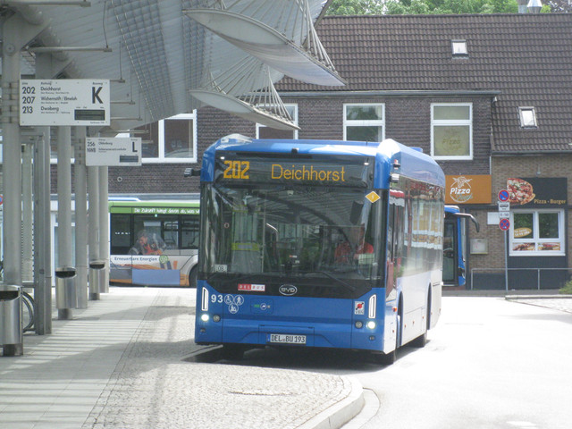 IMG 4557