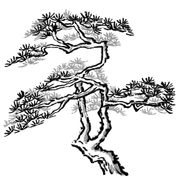 Pngtree pine 5636467