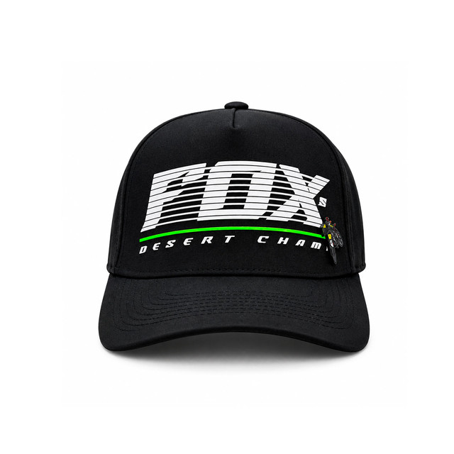 GOFOXDESCHAM 2.jpg