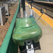 IMG 1758