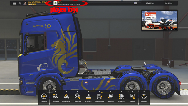 PLEYER SKINS