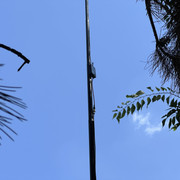 IMG-0175