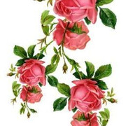 ecfb358f2fd593cae8f4732a031fee6c