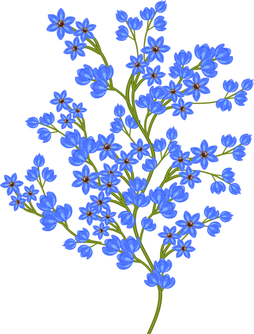 0 5adb1 37f4918 XL.png