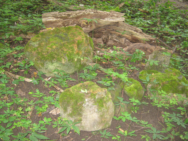 IMG-0898.jpg
