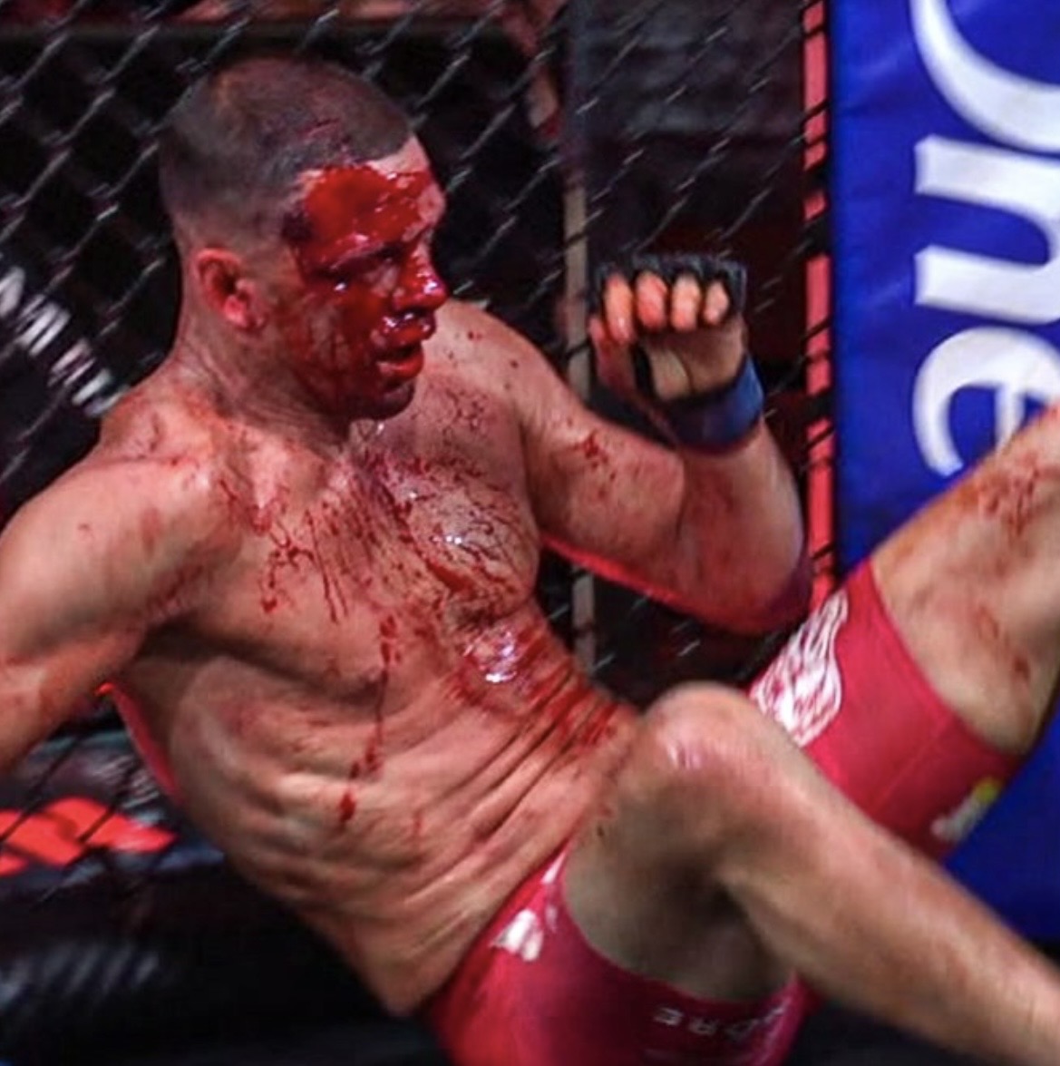 IMG-3706.jpg