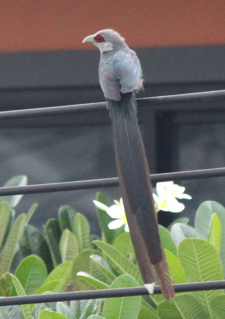 IMG 2567.jpg