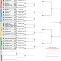 W 78kg