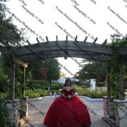 IMG 2652